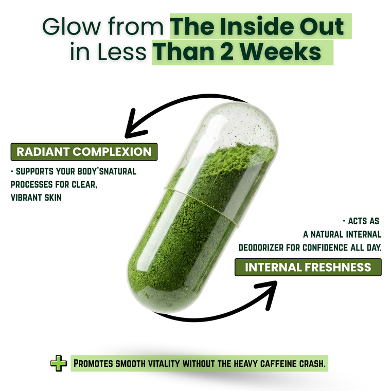MEGA HEALTH Chlorophyll Capsules — Freshness From Within | 12,000mg per Jar | 2-Month Supply