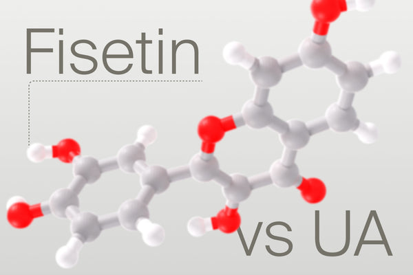 Urolithin A vs Fisetin: Which is Superior for Longevity?