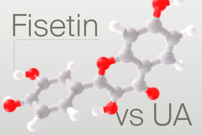 Urolithin A vs Fisetin: Which is Superior for Longevity?