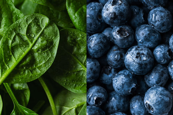Dietary Fiber Benefits for Longevity and Overall Health