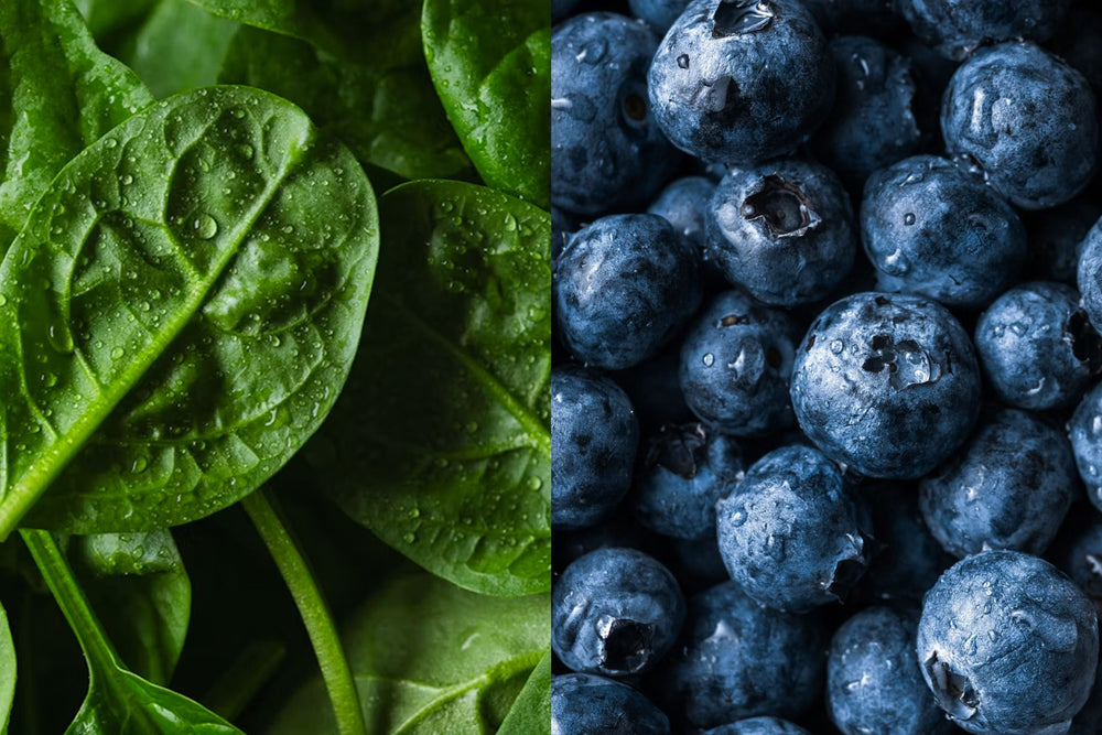 Dietary Fiber Benefits for Longevity and Overall Health
