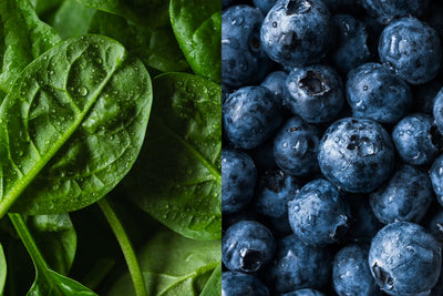 Dietary Fiber Benefits for Longevity and Overall Health