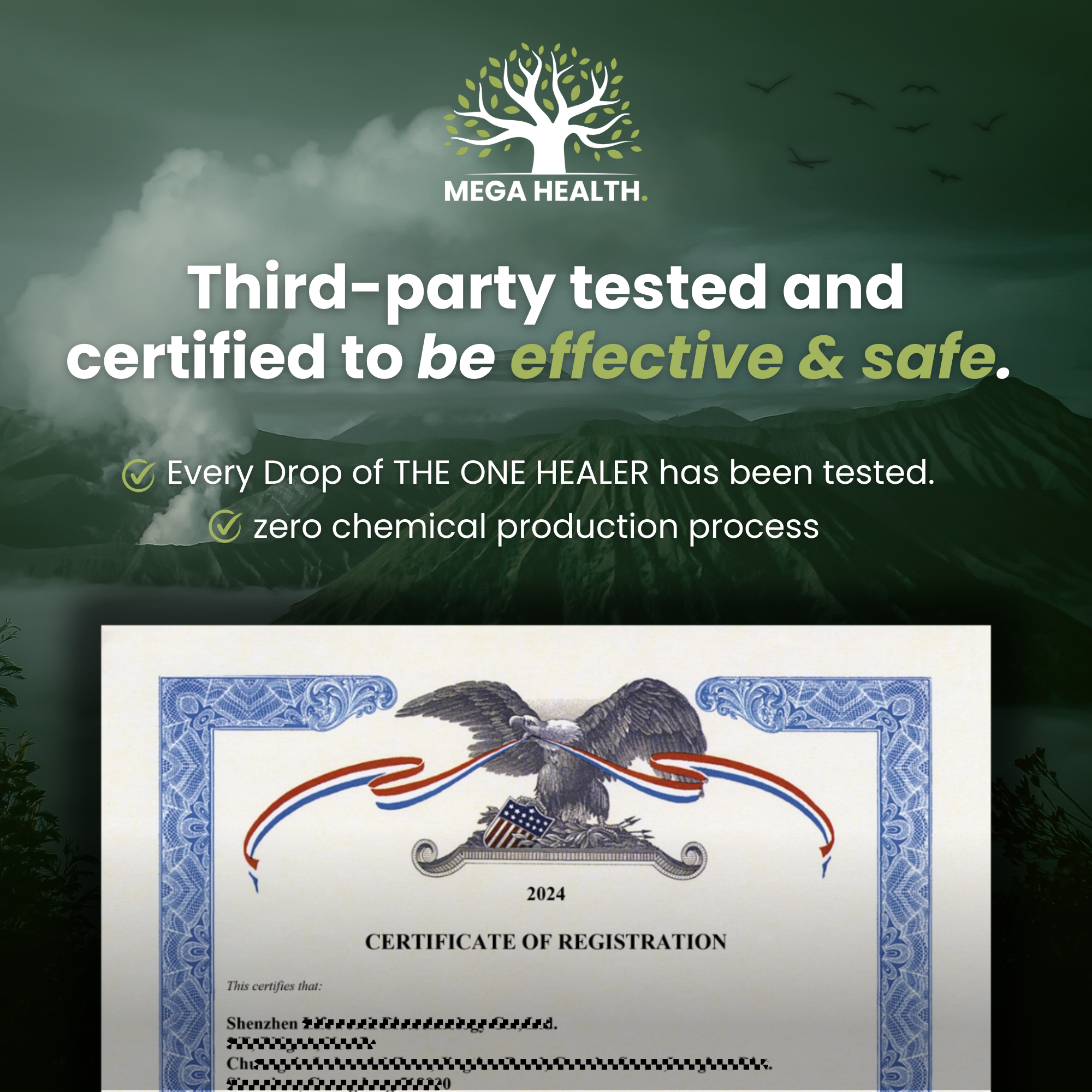 Certificate of registration for The One Healer, verified effective and safe through third-party testing.